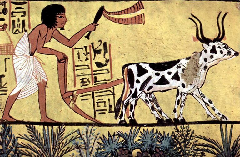 Legumbres en la Historia (II): Lentejas en el Egipto faraónico