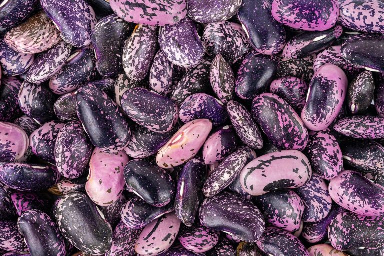 ¿Por qué no cultivas alubias en tu casa?:  es fácil, son geniales para tu salud y buenas para el planeta
