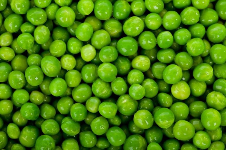 Tendencias de alimentación 2025: el auge de las legumbres en las dietas populares