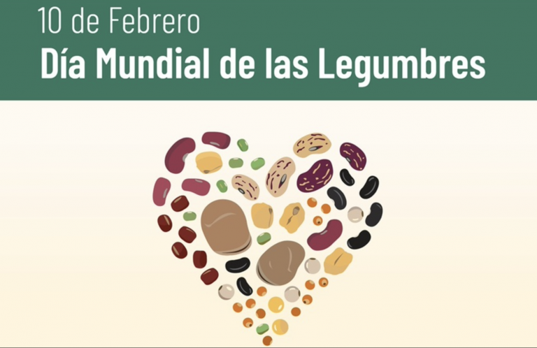 10 de febrero: Día mundial de las Legumbres