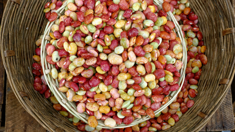 ¿Hemos entendido mal qué es comer saludable?